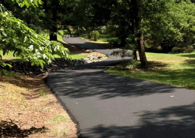 Newly paved winding road through a leafy, green park in Charlotte on a sunny day.