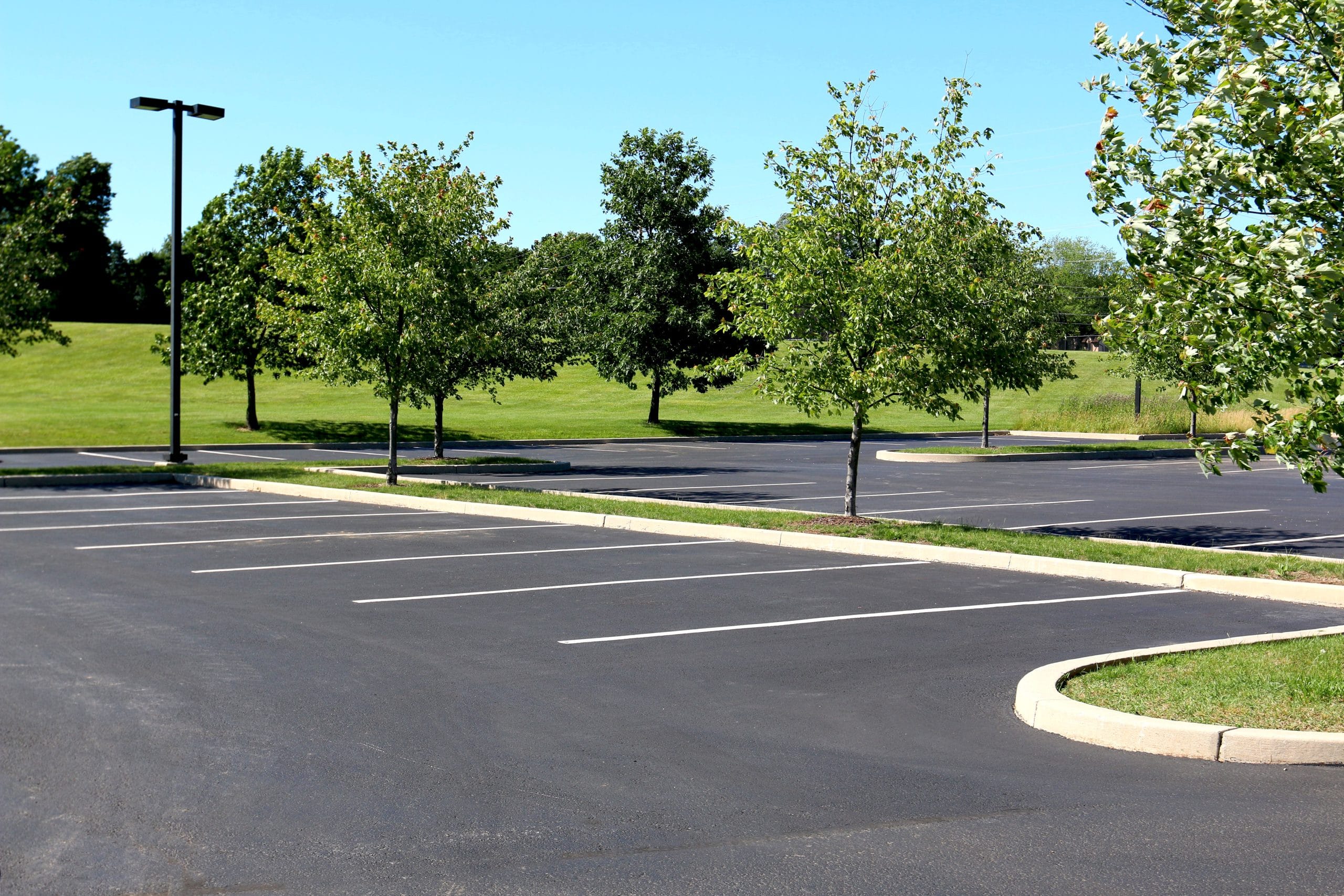 Why a Well-Paved Parking Lot Is More Than Just Looks—It’s Smart for Business Empty parking lot with trees and bright blue sky in the background.
